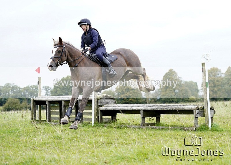 _DSC6713 - Edited examples
