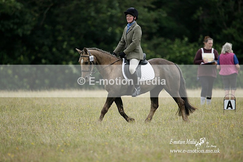BVRC 030721 351 - Bourne Valley Riding Club Dressage 03/07/21