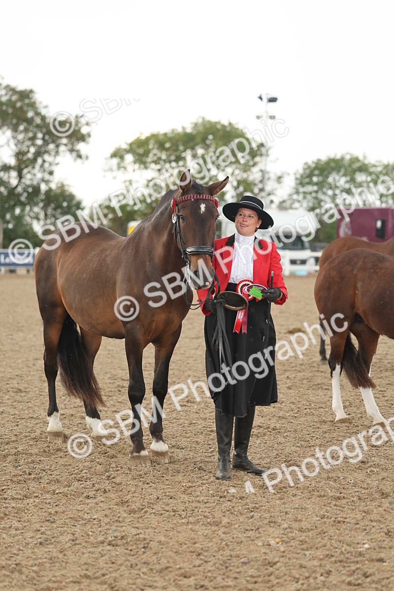 SBM_07700 - Class 26 - IH Foreign Breeds - Part Bred