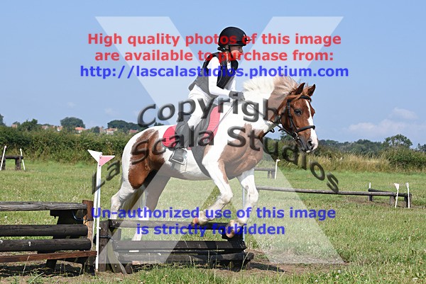SNCP_0170 - N Group