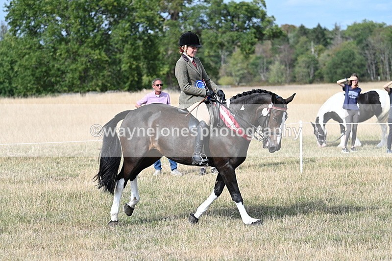 WJ7_7884 - Ridden Championship