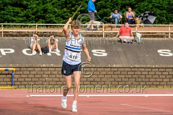 Sen25SUN-926959 - Field Male