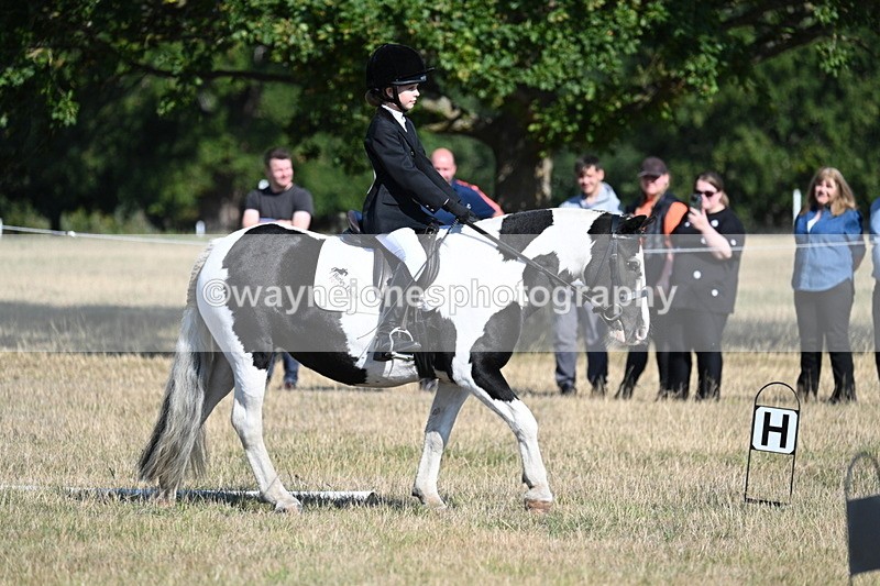 WJ7_9399 - Time 10:08 to 10:13