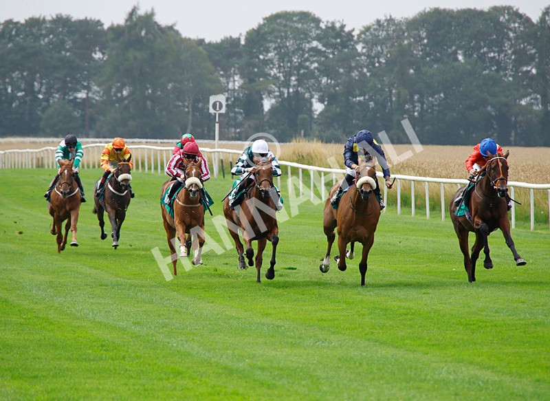 250725-Race 1-Mandarin Spirit-87741 - Race 1