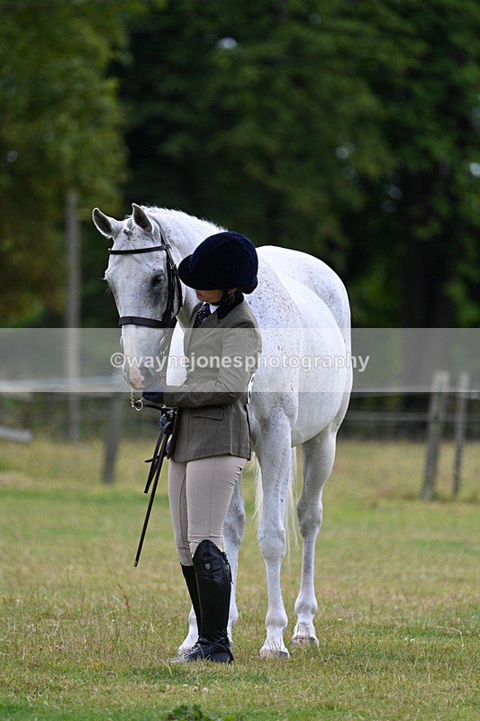 WJ7_7066 - Class 5a Most Handsome Gelding in Hand