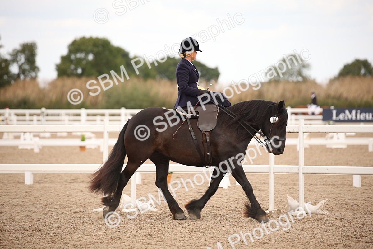SBM_05326 - Class 22 SSA Equitation