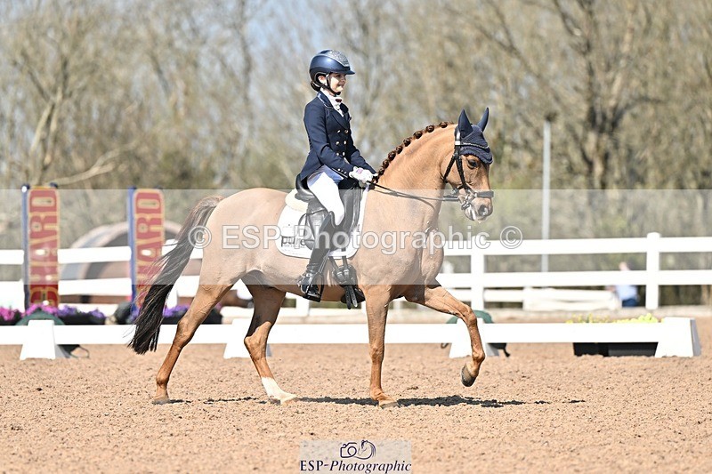 250404-134220-06451 - 061-Violet.Hawkins-DZL.Royal.Sunrise