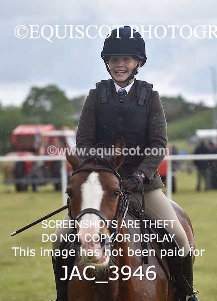 JAC_3946 - 55cm WORKING HUNTER