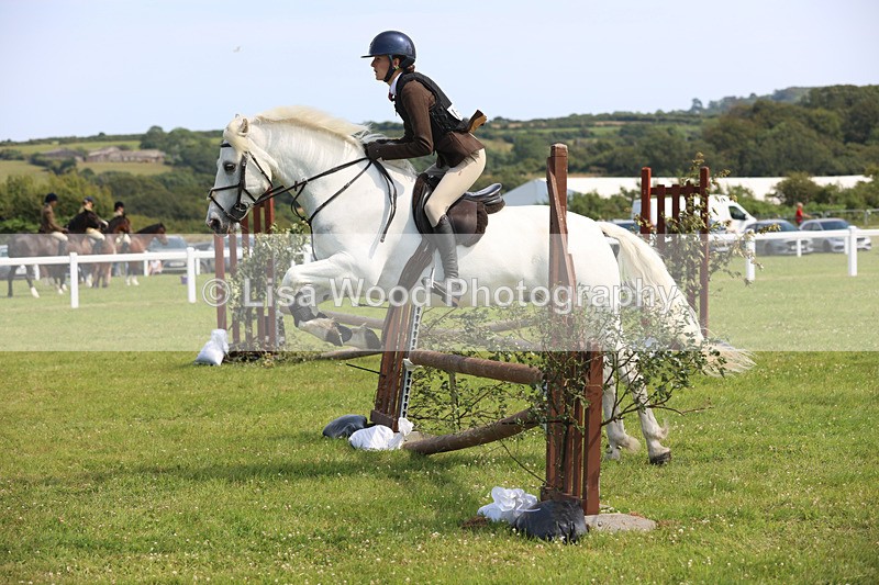 JPP_3701 - Class 23: Working Hunter 80cm