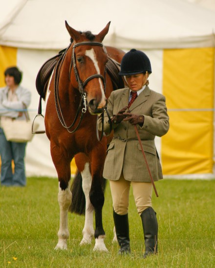 12 - Equestrian Photography