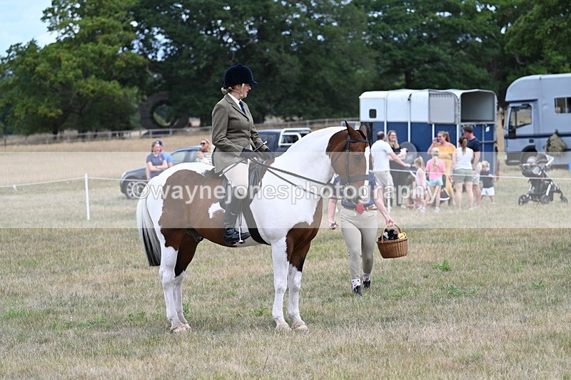 WJ7_4578 - Class 12 Ridden Cob