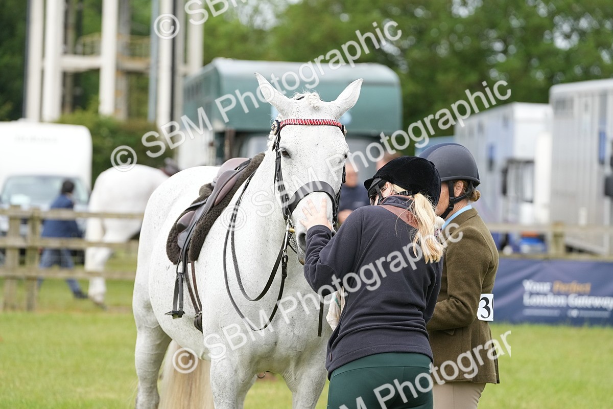 SBM_10637 - Class 97-98 - LIHS BSHA Rising Star Working Show Horse Hunter