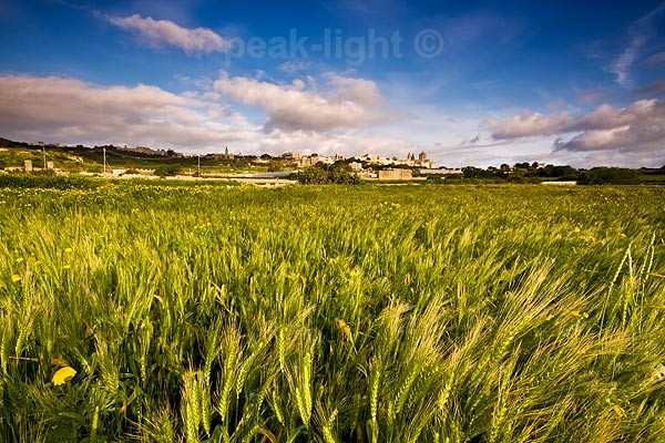Mdina - Foreign Shores