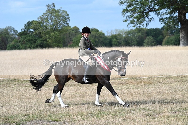 WJ7_7874 - Ridden Championship