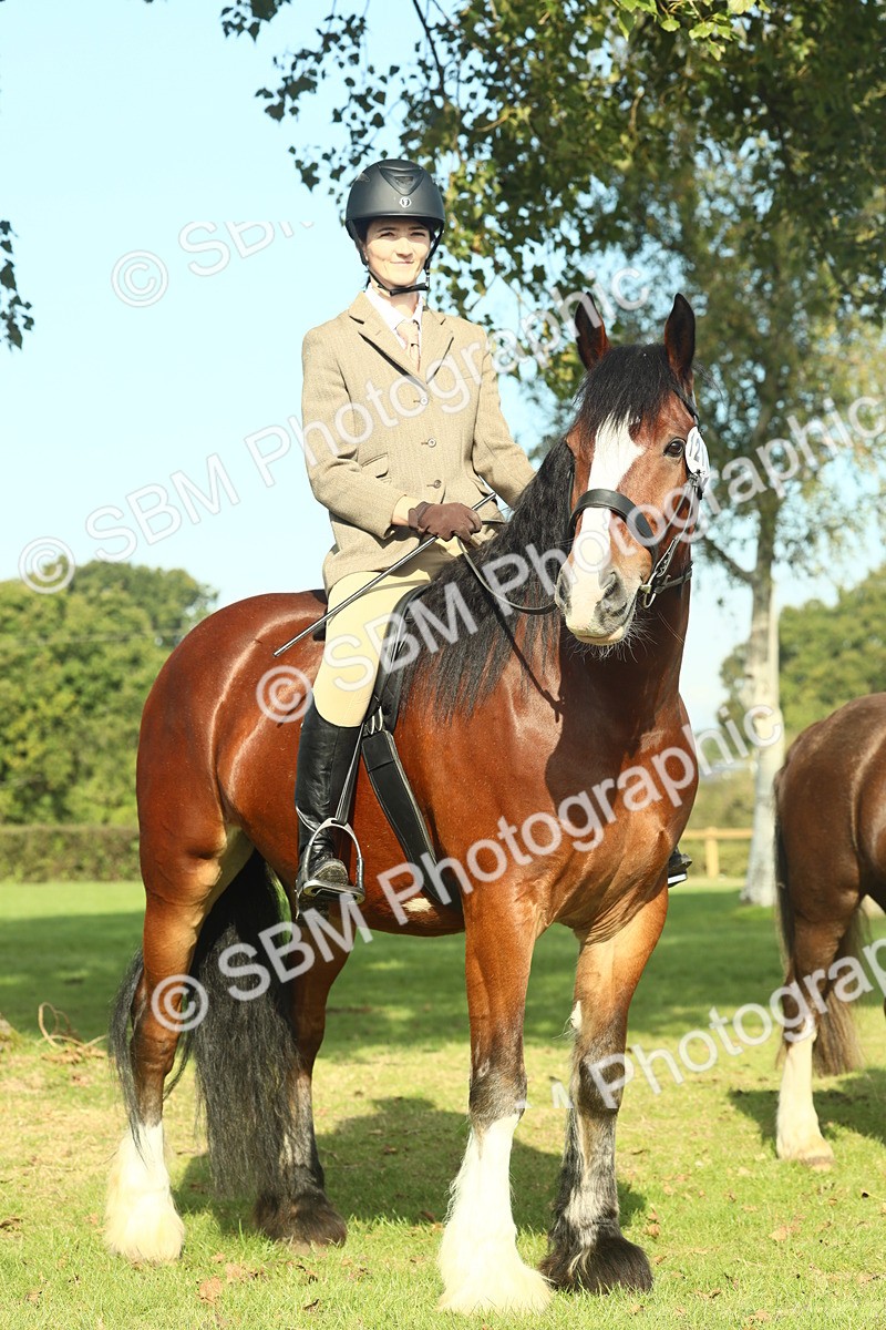 SBM_60011 - S38 - Starters Ridden Showing