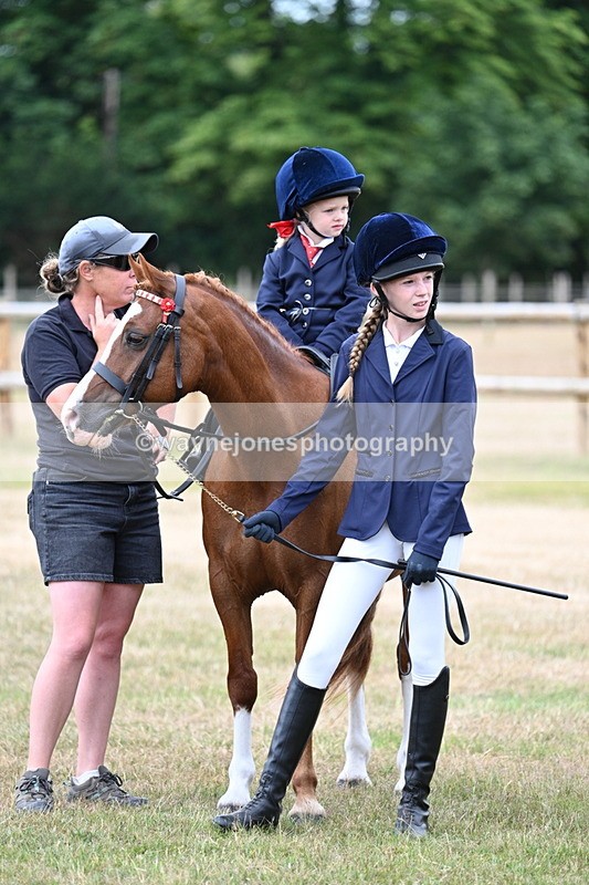 WJ7_9949 - Class 1 Lead Rein Pony