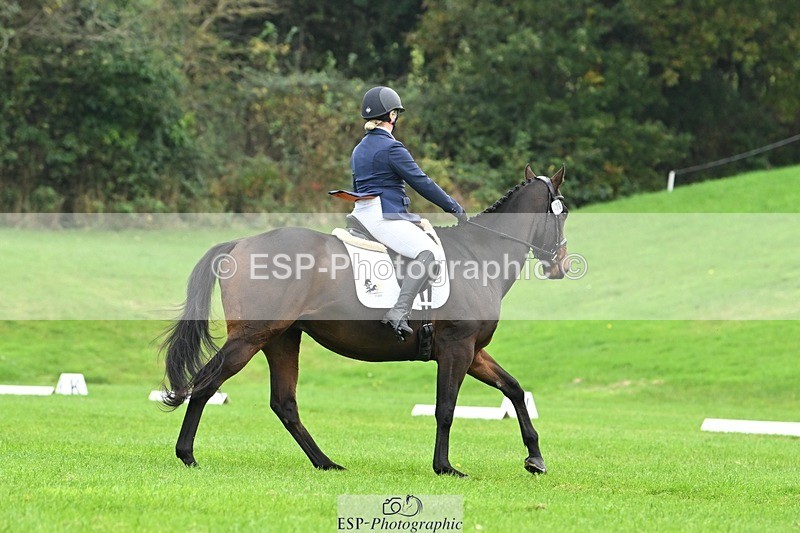 241024-144726-04608 - 420-Pip.Howarth-OTTAVA