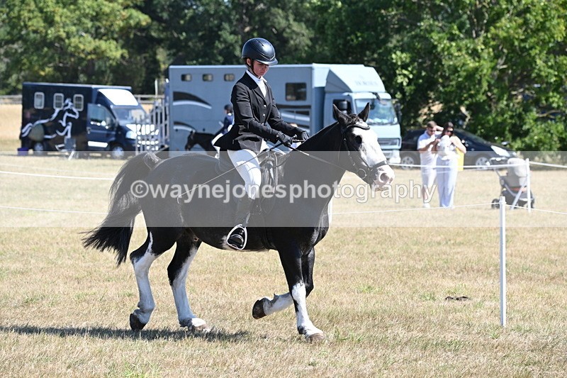 WJ6_8206 - Class 37a Best Loan Pony Ridden