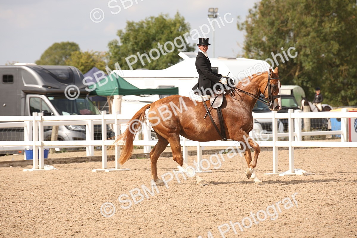 SBM_06711 - Class 24 Concours d'elegance