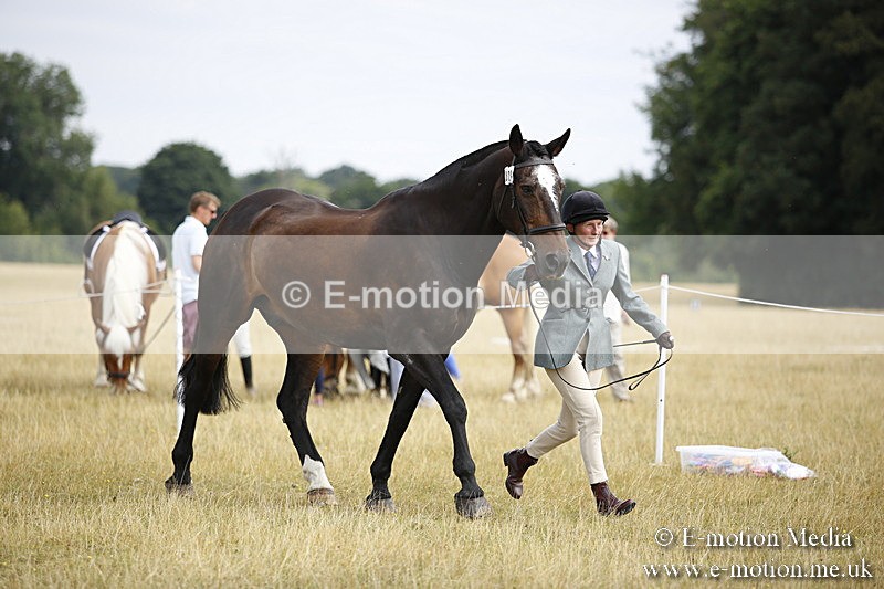 _C7A9418 - BVRC Sow 2018 Ring 2