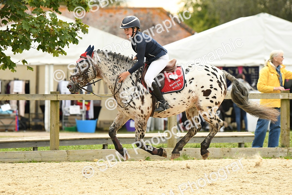 SBM_75682 - Supreme Championship