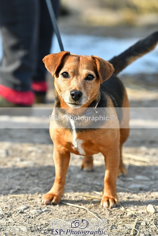 230817-083623-02428 - Stable Shots