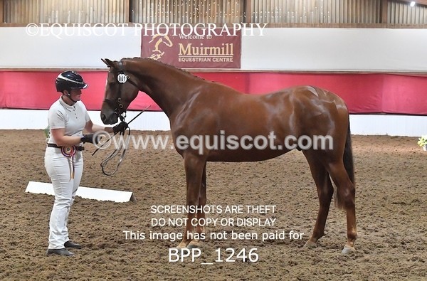 BPP_1246 - MORNING 9AM - 12PM