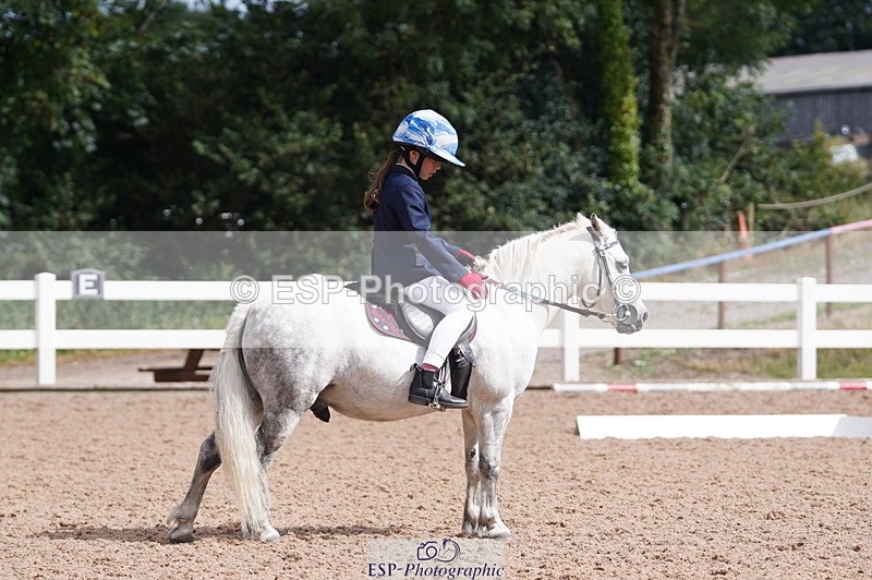 240809A-110156-00709 - Dressage Competition