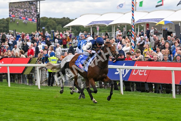 210825-Race 1-Royal Fixation-3606 - Race 1 1.50pm Sky Bet Lowther Stakes