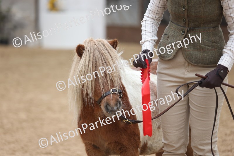 20251109-0343 - Class 13 - Mares 4 Years and Over