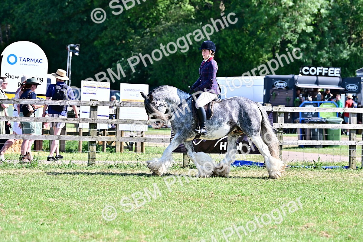 SBM_19423 - Class 101-102 - BSPS LIHS Performance Coloured Horse/Pony