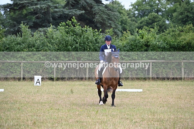 WJ6_9735 - Time 10:12 to 10:18