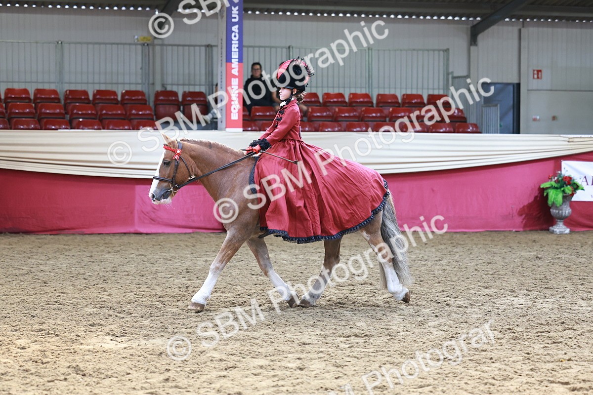 SBM_13458 - Class 104 - Ridden Costume - Astride Junior