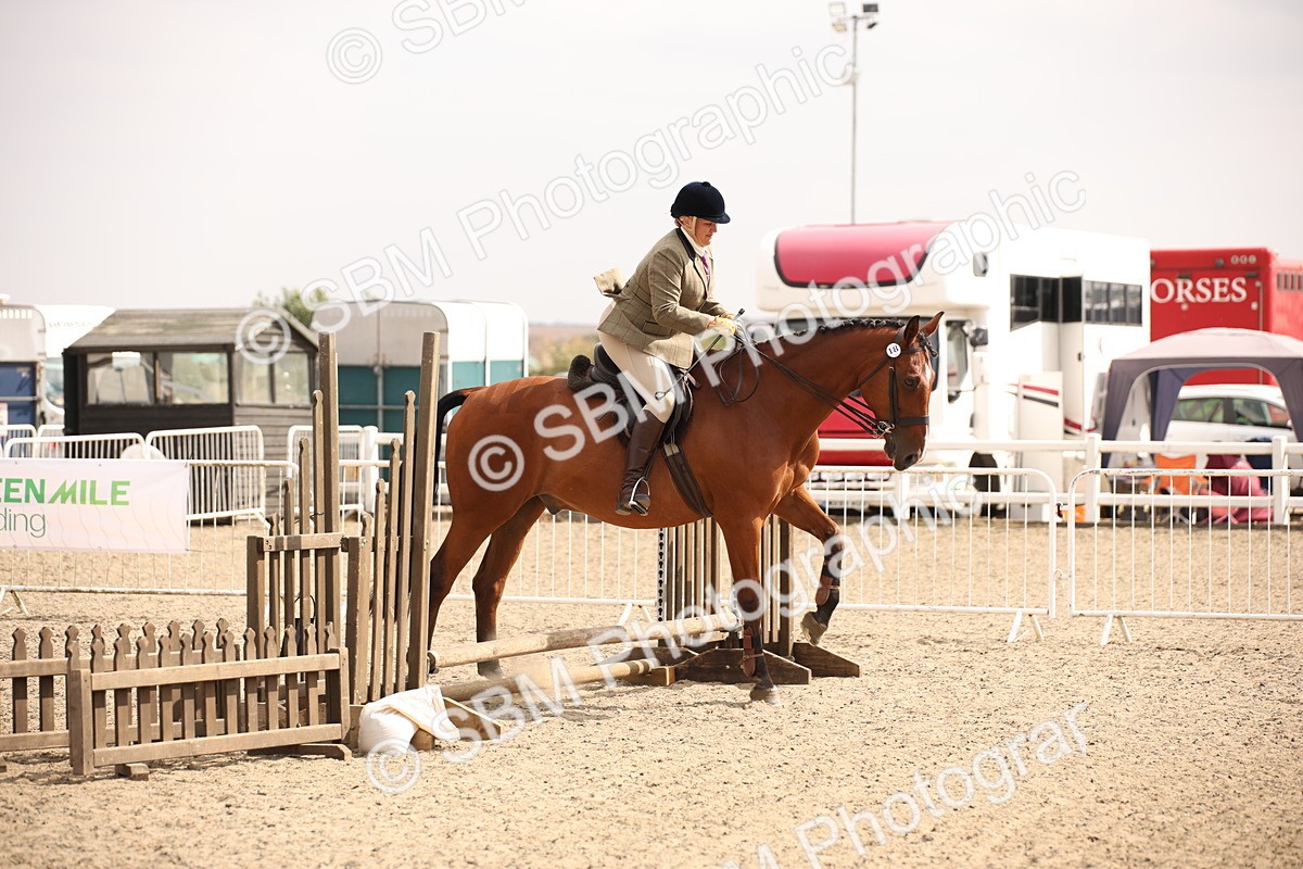 SBM_12885 - Class 406a - Working Veteran 50cm (15-19)