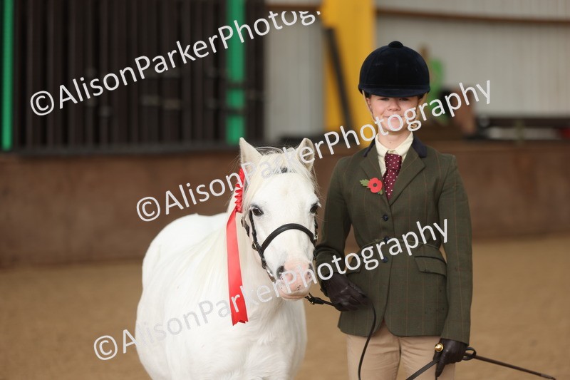 20251109-0568 - Class 21 - Mares 4 Years and over