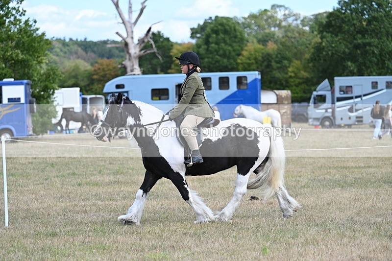 WJ7_6926 - Class 14 Ridden Coloured