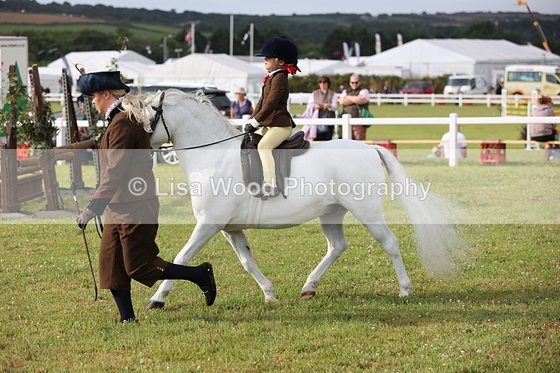 JPP_0338 - Class 14: Cornish Combination Leading Rein
