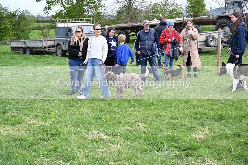 WJ6_8478 - Class 6 Best Rescue