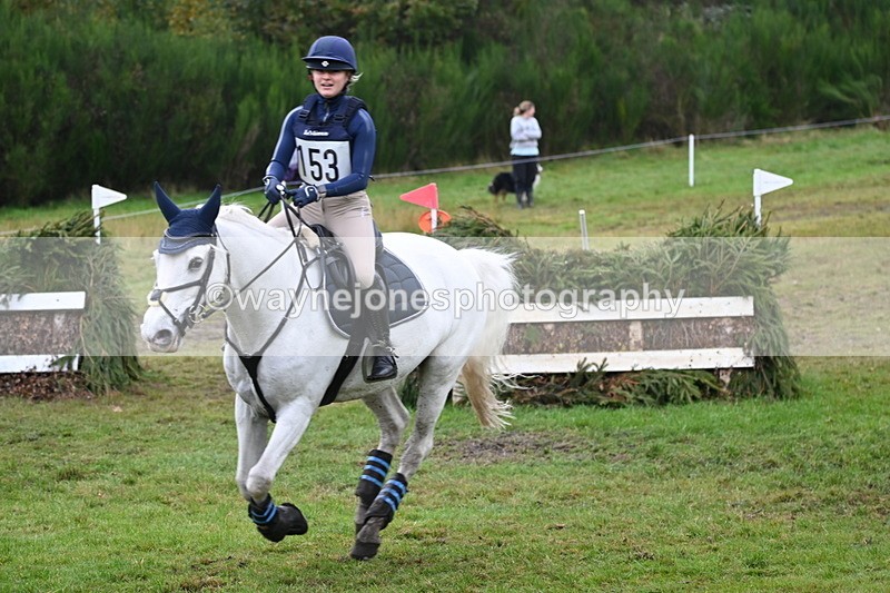 WJ6_2639 - 80cm Cam 1 Time 11:23 to 12:04