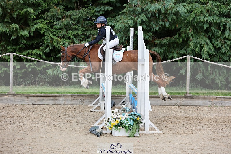 240823X-163356-19780 - 70cm Single Phase All