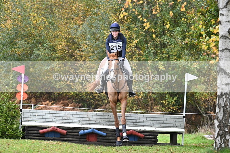 WJ7_2954 - 90cm Cam 2 Water Time 13:29 to 13:47