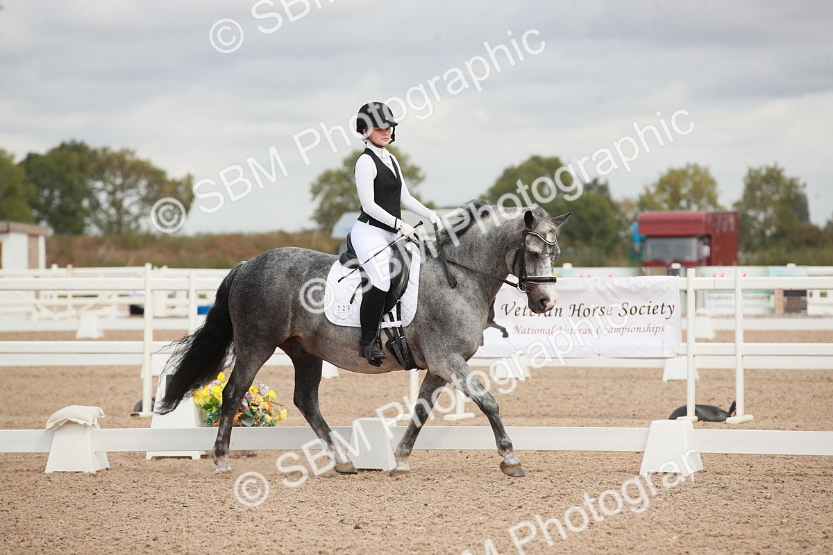 SBM_03929 - Class 31 - Prelim 1