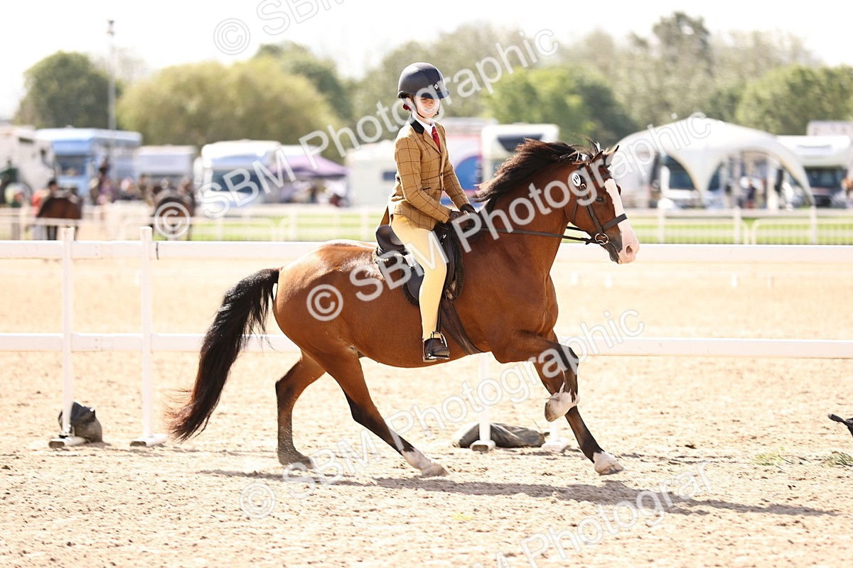 SBM_12881 - Class 409 - Grassroots Ridden - Pony