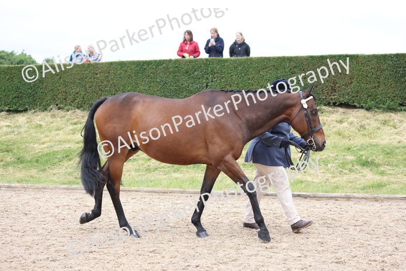 20250524-0621 - Class 7 - Veteran