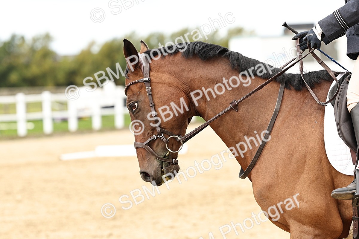 SBM_004612 - Class 69 - Novice 2