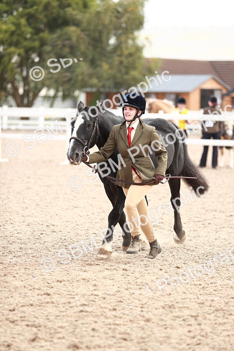 SBM_11892 - Class 206 IH Non Show Type Pony