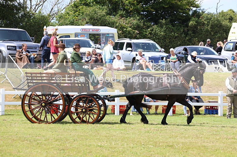 3E7A2679 - Class 12: Open Driving