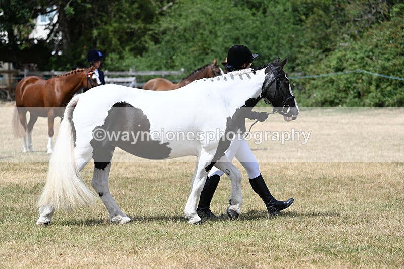 WJ7_1724 - Class 4 Prettiest Mare up to 14.2hh in hand
