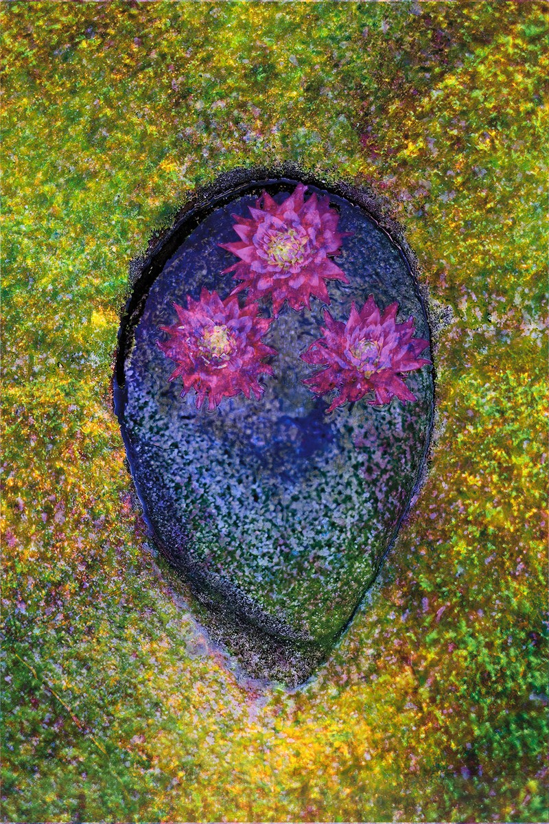 ENTROPY TRIPTYCH XXll-XXlV - ENTROPY 2023