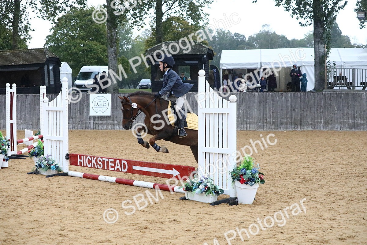 SBM_71503 - J4 - Mini Tour Junior Pony 45cm Championship